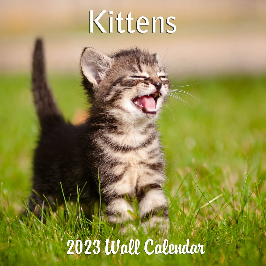 All About Cute Kittens! Get a Kittens Wall Calendar today!