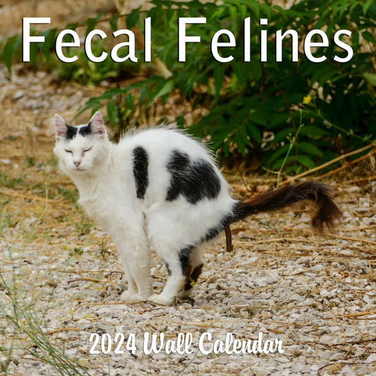 2024 Fecal Felines/Crapping Cats Calendar: A Hilarious Addition to Your Wall