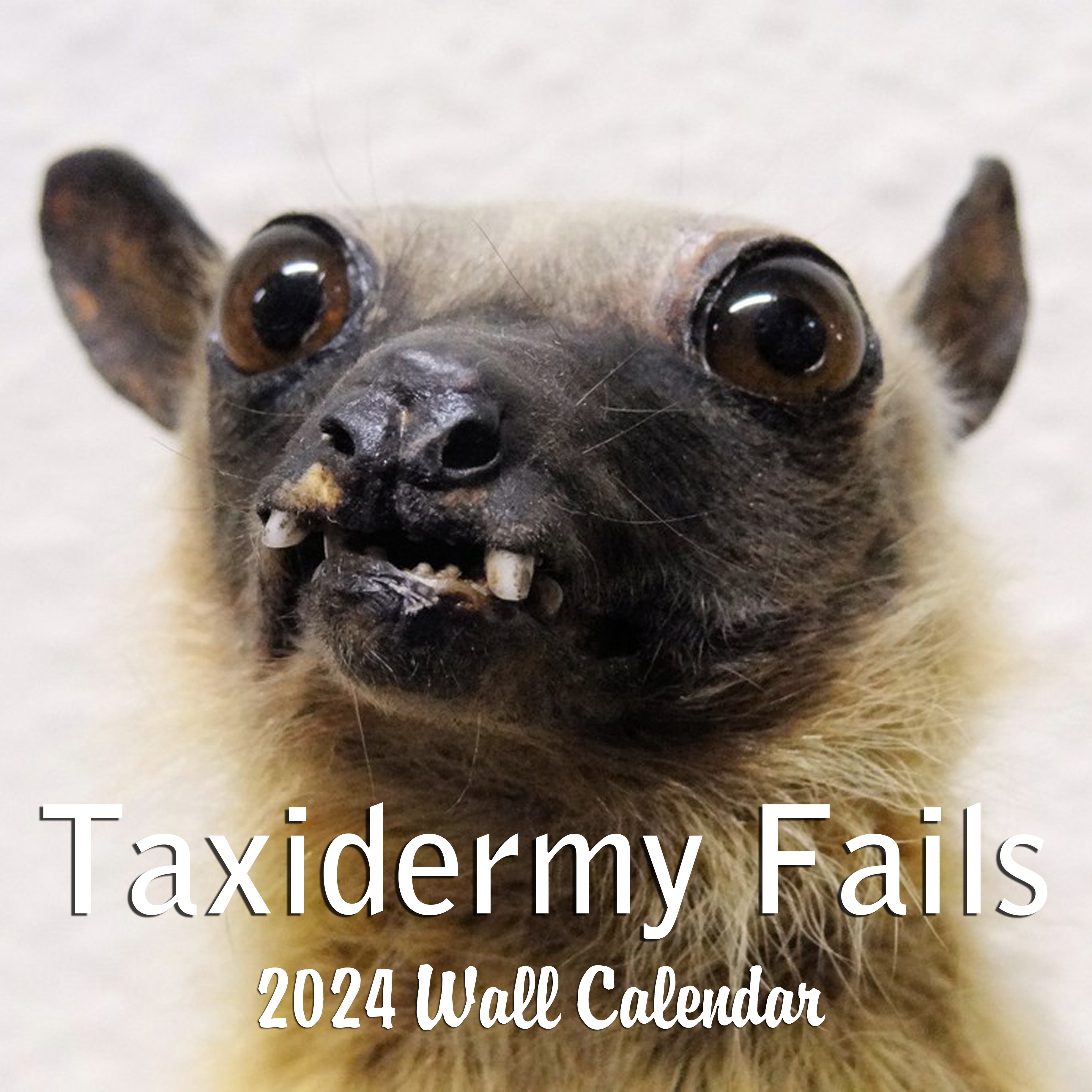 A Year Of Taxidermy Fails 2024 Wall Calendar Review Blue Wolf   Bad Taxidermy Front Cover 