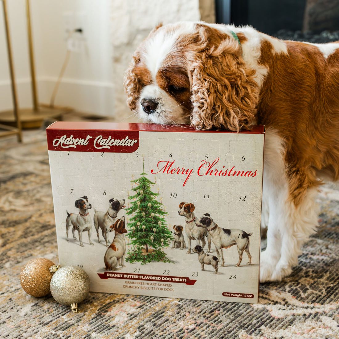 A Pawsitively Perfect Christmas Surprise: The Blue Wolf Calendar Company Christmas Dog Advent Calendar