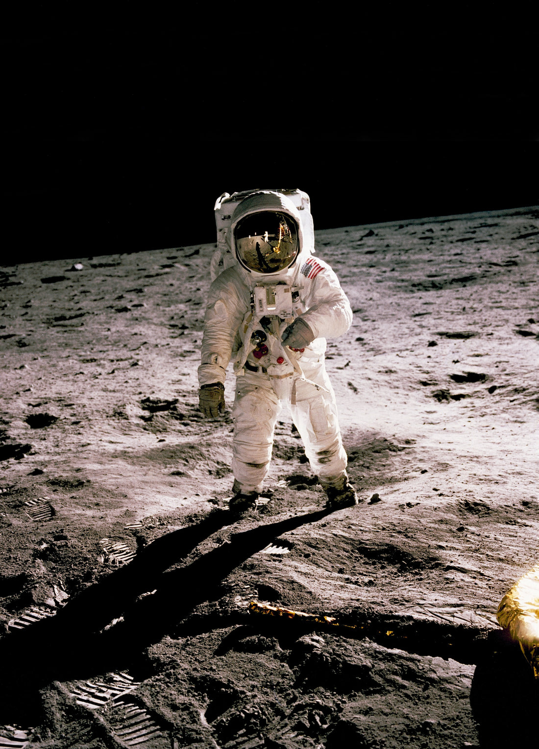 Buzz Aldrin's Birthday, January 20th, 1930