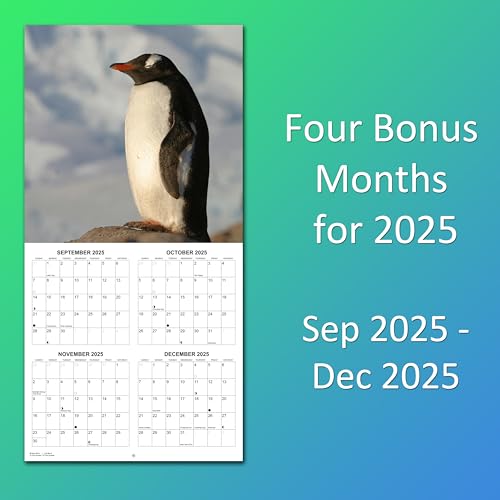 2026 Penguins Monthly Wall Calendar | 12" x 24" | Animals Calendar 2025-2026