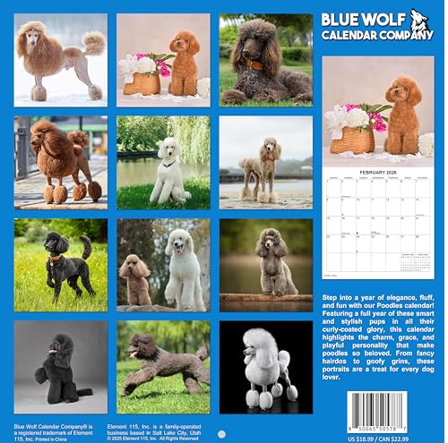 2026 Poodles Monthly Wall Calendar | 12" x 24" | Dogs Calendar 2025-2026