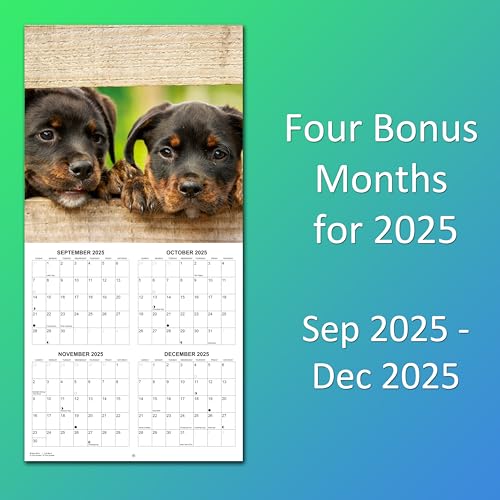 2026 Puppies Monthly Wall Calendar | 12" x 24" | Puppy Dog Calendar September 2025- December 2026