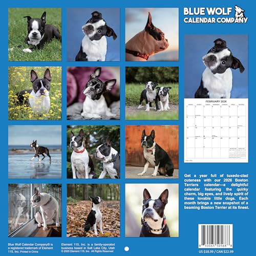 2026 Boston Terriers Monthly Wall Calendar | 12" x 24" | Dogs Calendar September 2025- December 2026