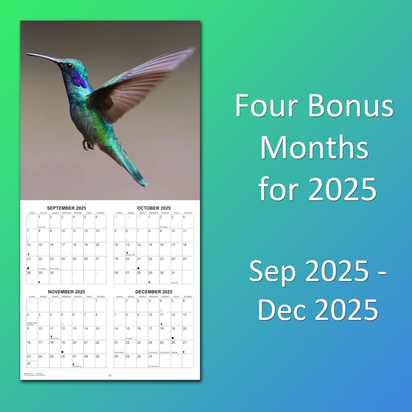 2026 Hummingbirds Monthly Wall Calendar | 12" x 24" | Animals Calendar 2025-2026