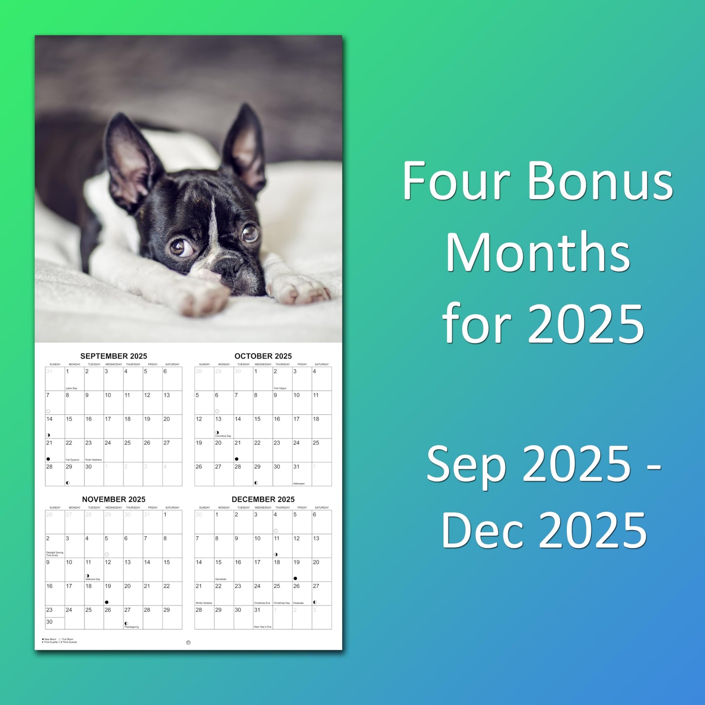 2026 Boston Terriers Monthly Wall Calendar | 12" x 24" | Dogs Calendar September 2025- December 2026