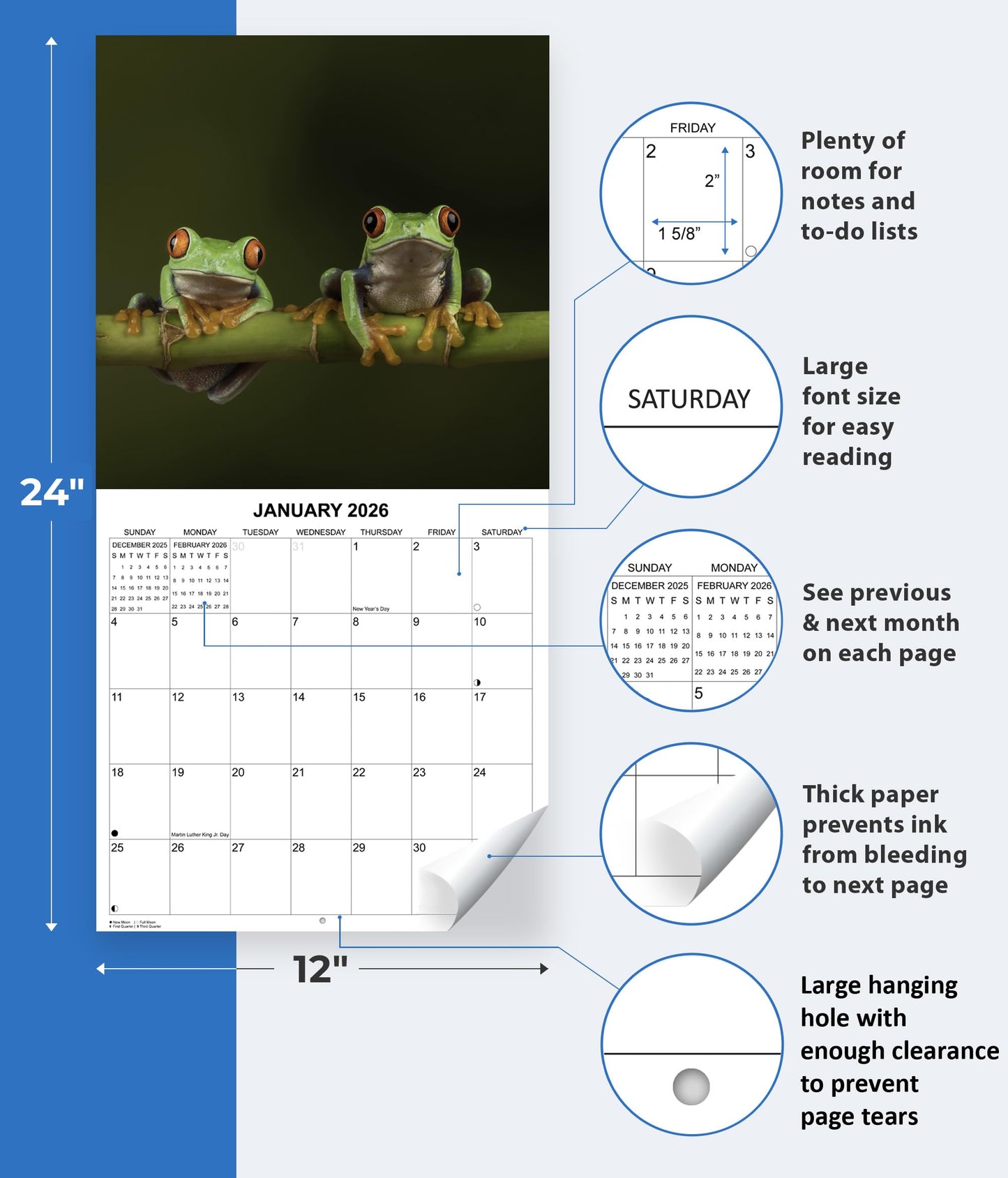 2026 Frogs Monthly Wall Calendar | 12" x 24" | Animals Calendar 2025-2026