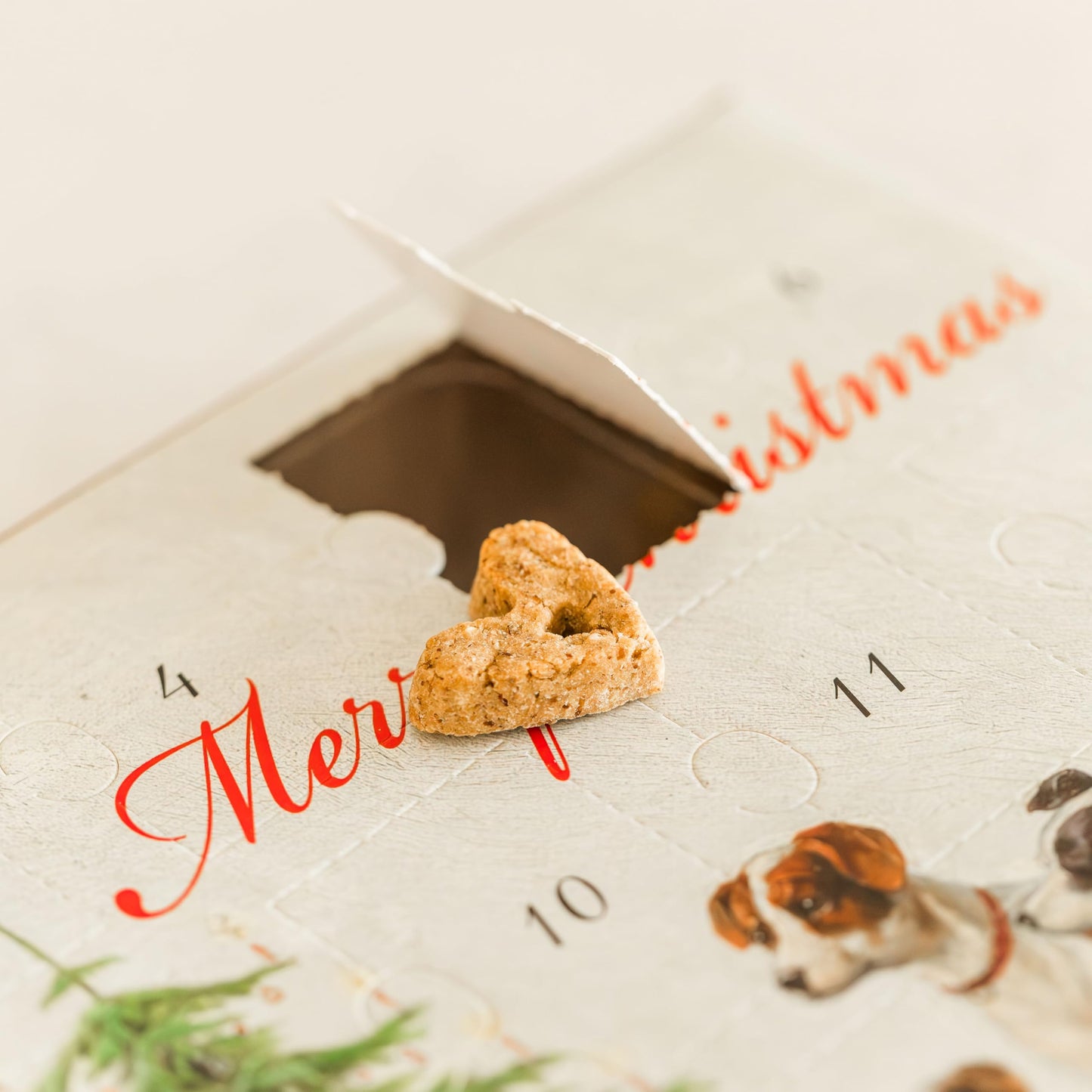 2025 Christmas Dog Advent Calendar for Dogs | 24 Days of Crunchy Peanut Butter & Quinoa Flavored Dog Treat Biscuits