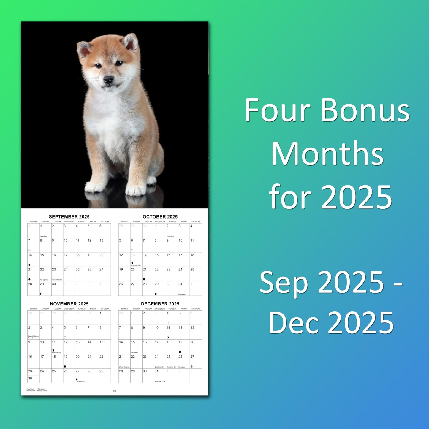 2026 Shiba Inus Monthly Wall Calendar | 12" x 24" | Dogs Calendar 2025-2026