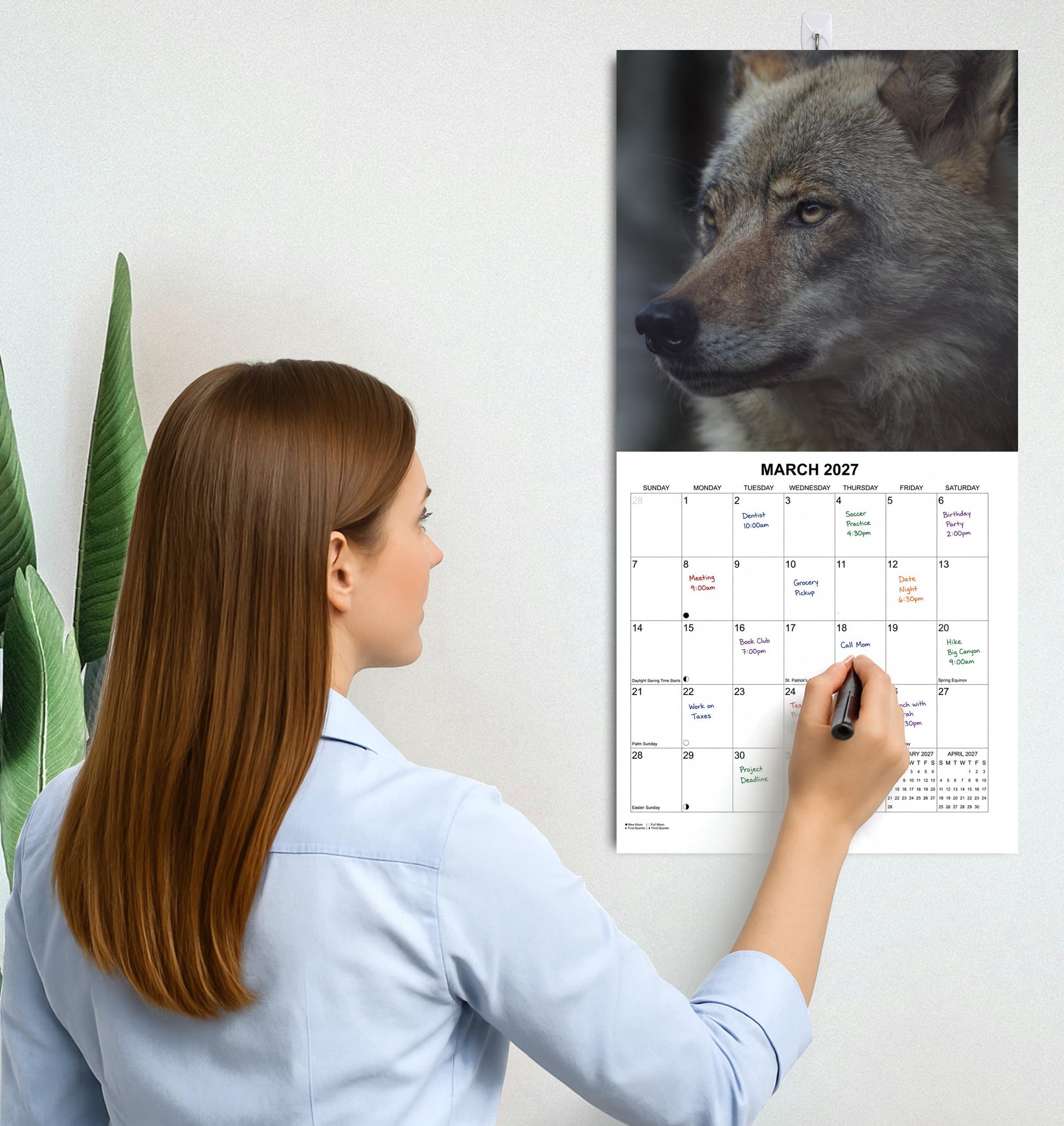 2027 Wolves of the Wild Monthly Wall Calendar | Wild Animals Calendar 2026-2027