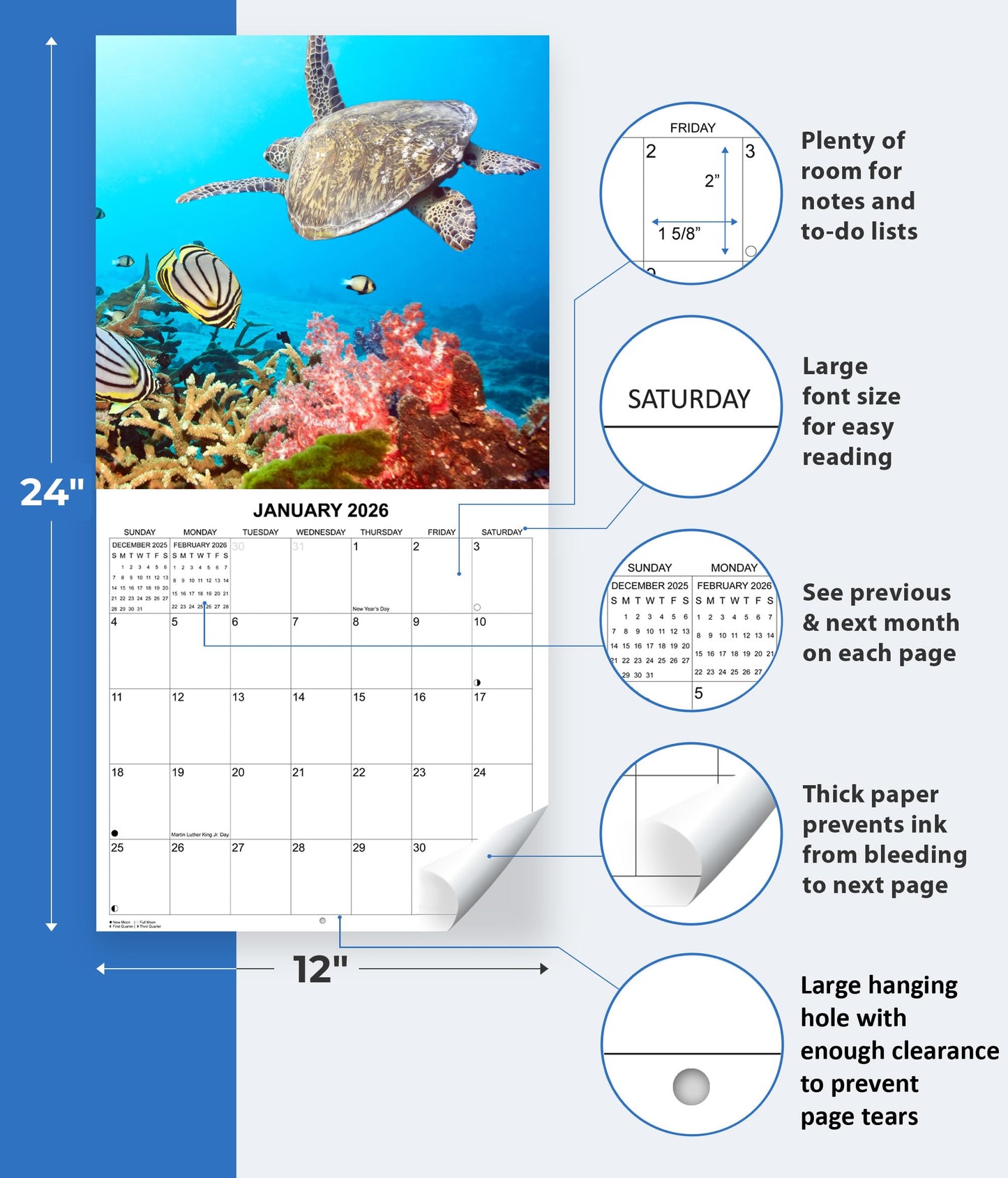 2026 Sea Turtles Monthly Wall Calendar | 12" x 24" | Animals Calendar 2025-2026