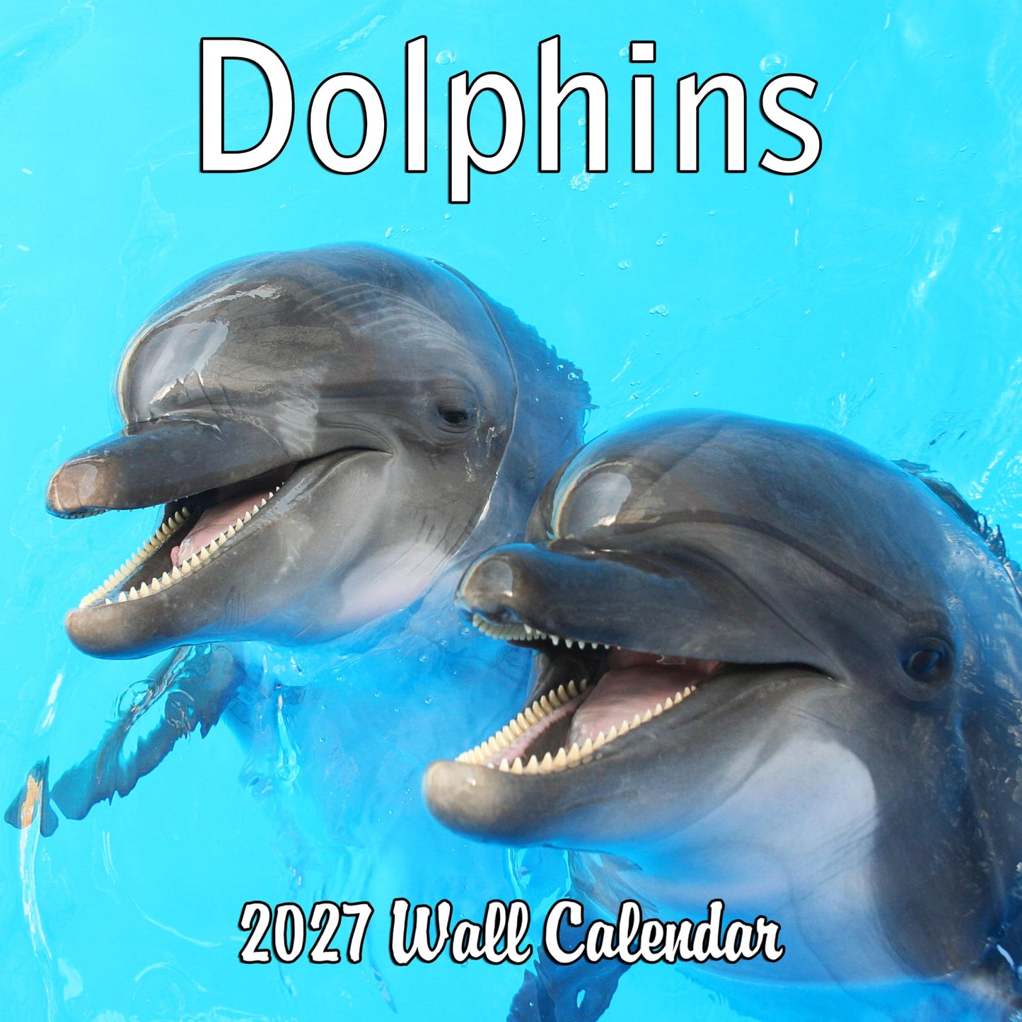2027 Dolphins Monthly Wall Calendar | Animals Calendar 2026-2027