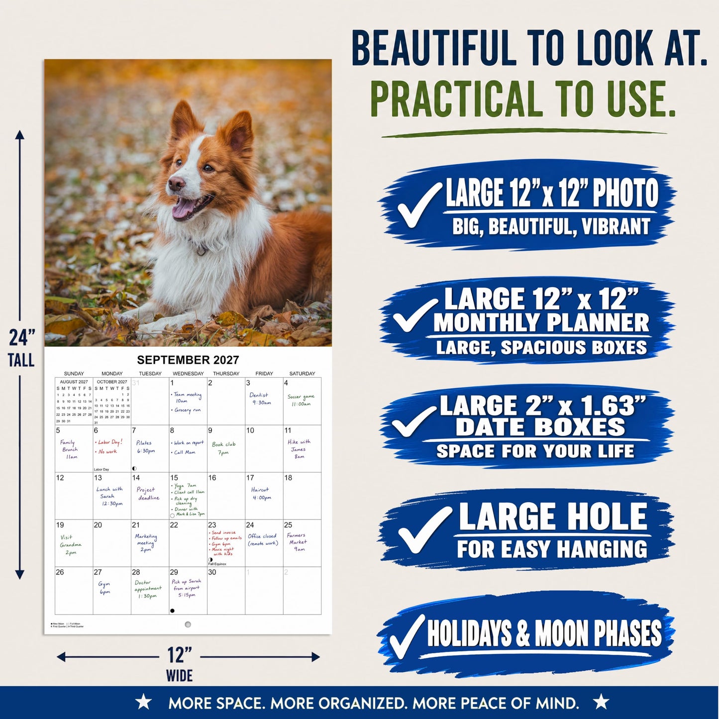 2027 Border Collies Monthly Wall Calendar | Dog Calendar September 2026 - December 2027