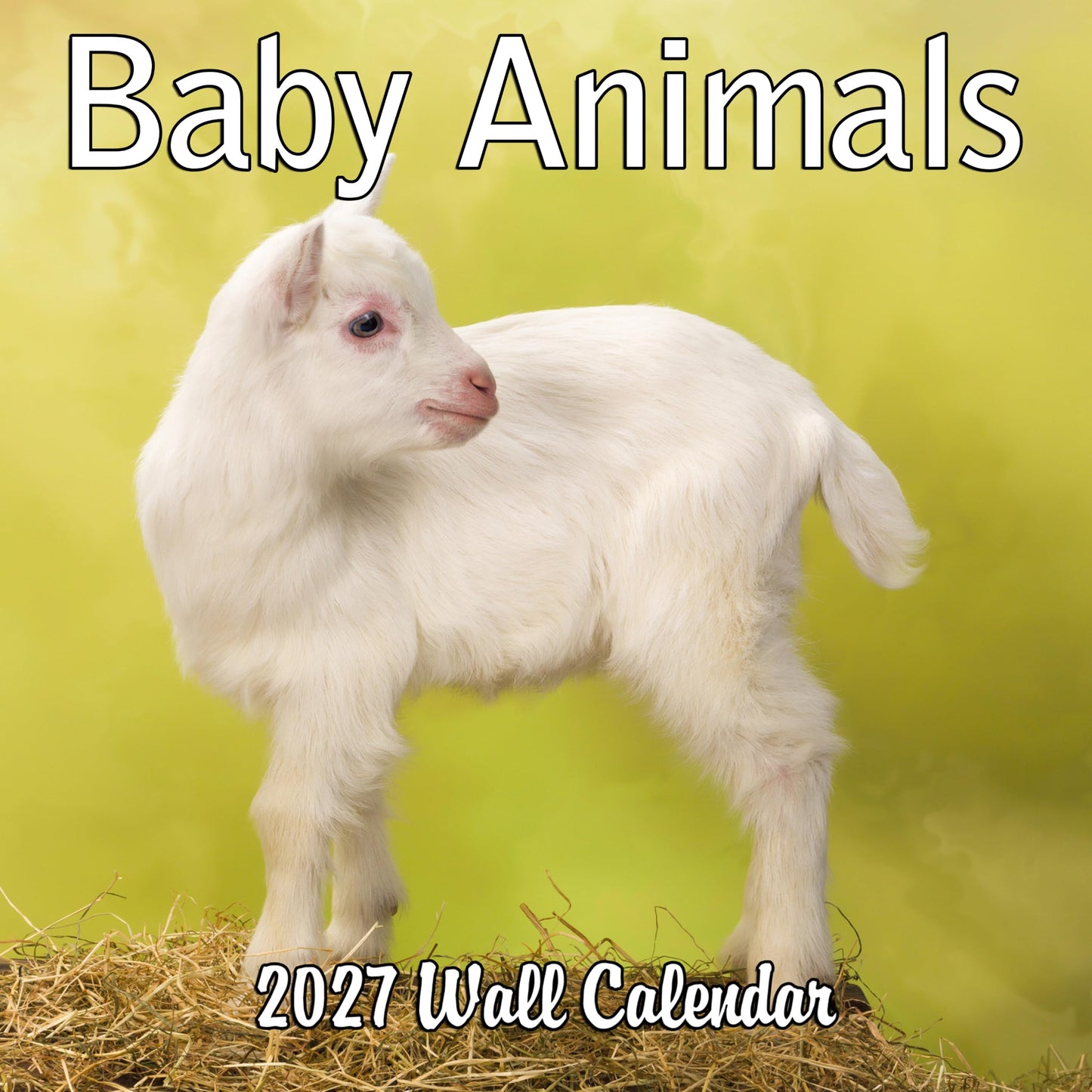2027 Baby Animals Monthly Wall Calendar | Cute Animals Calendar 2026-2027