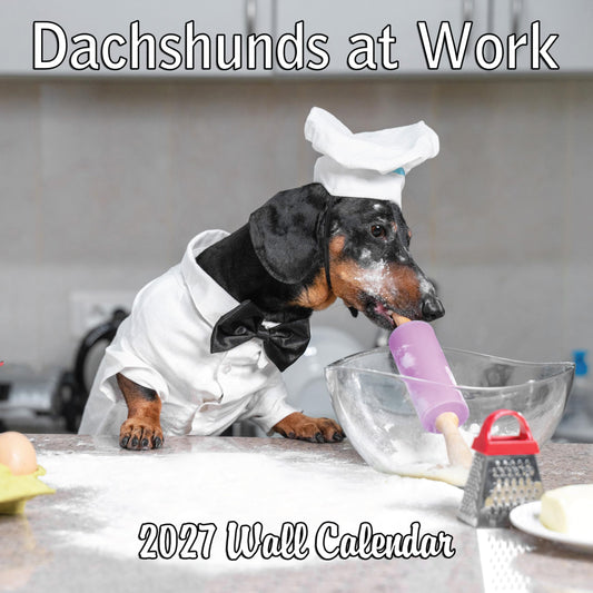 2027 Dachshunds at Work Weiner Dog Monthly Wall Calendar | Funny Wiener Dog Calendar September 2026 - December 2027
