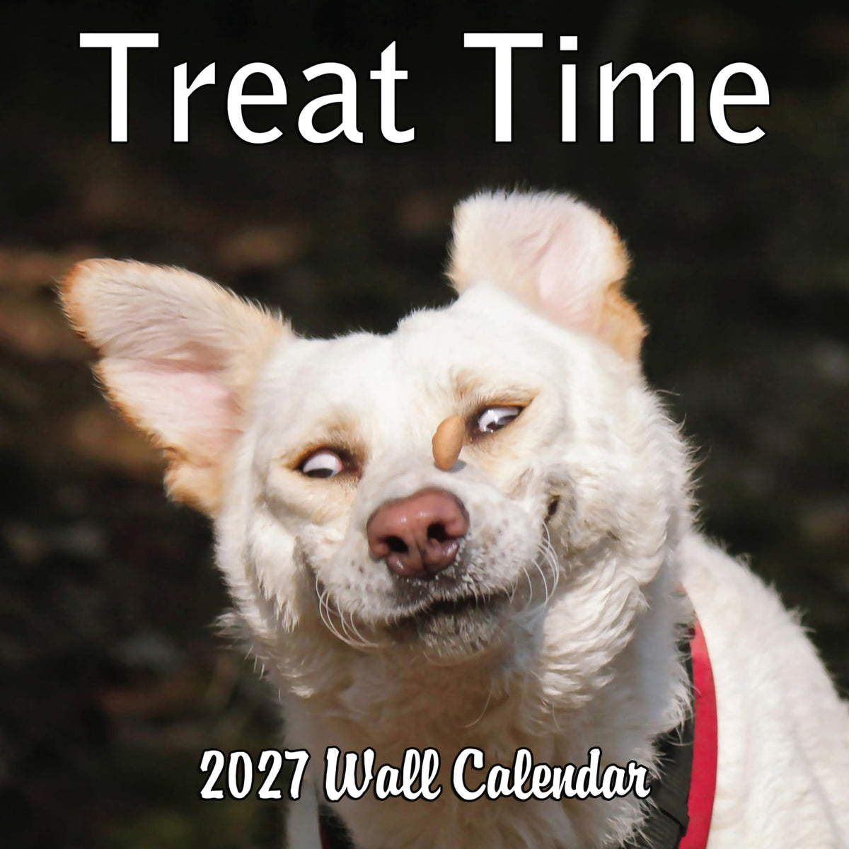 2027 Treat Time Monthly Wall Calendar | Funny Dogs Calendar September 2026 - December 2027