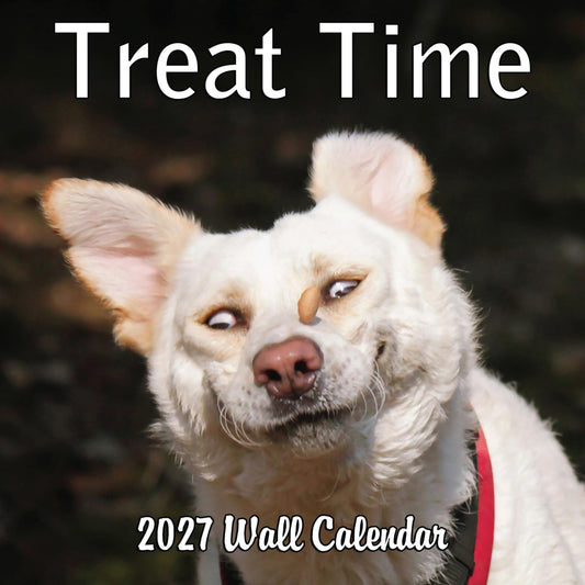 2027 Treat Time Monthly Wall Calendar | Funny Dogs Calendar September 2026 - December 2027