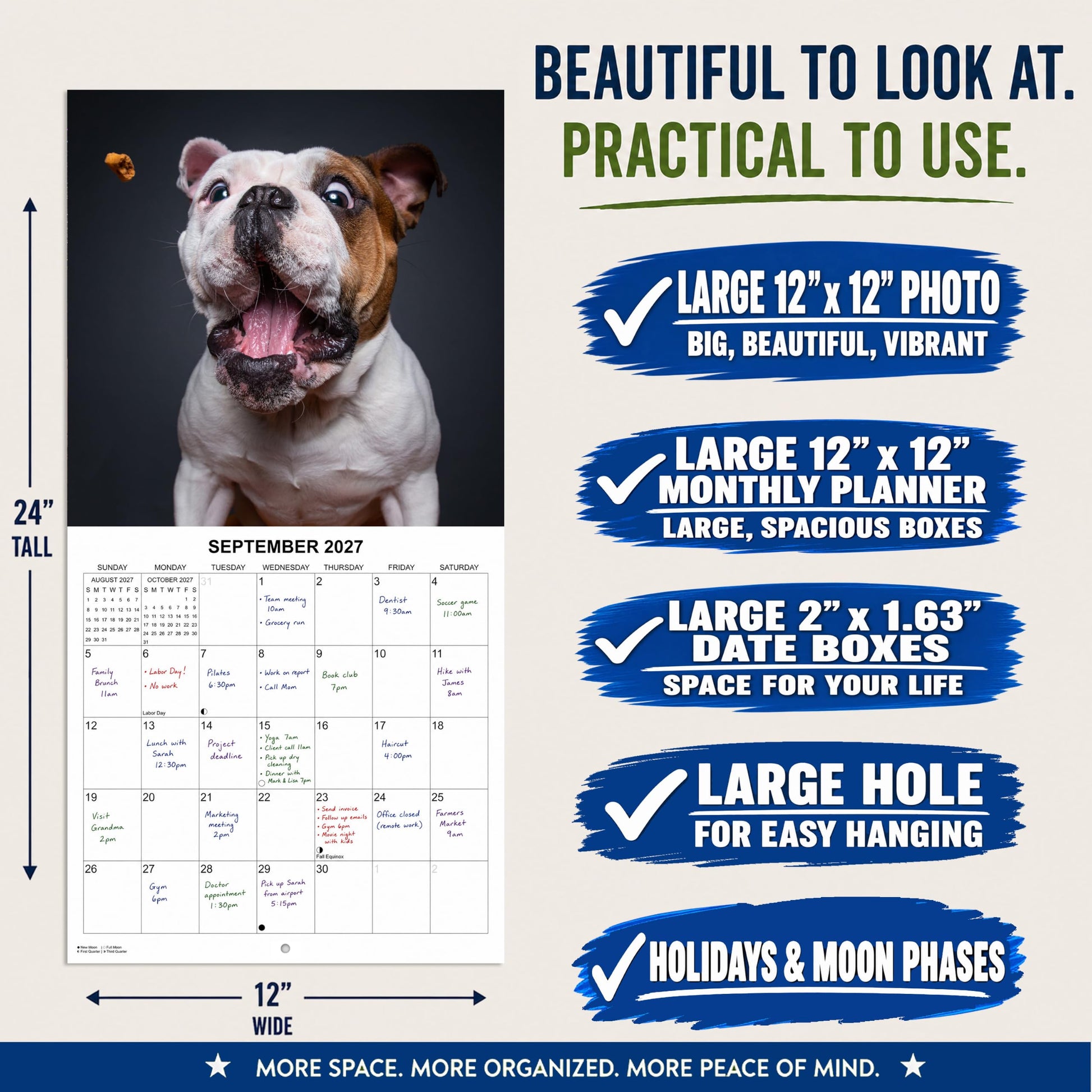 2027 Treat Time Monthly Wall Calendar | Funny Dogs Calendar September 2026 - December 2027