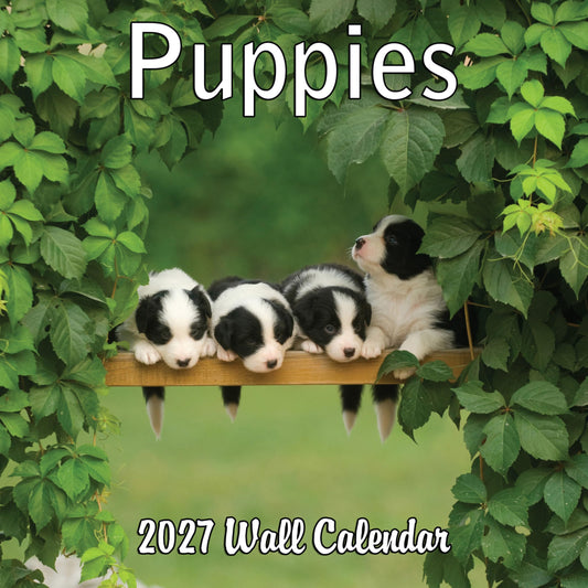 2027 Puppies Monthly Wall Calendar | Cute Dogs Calendar September 2026 - December 2027