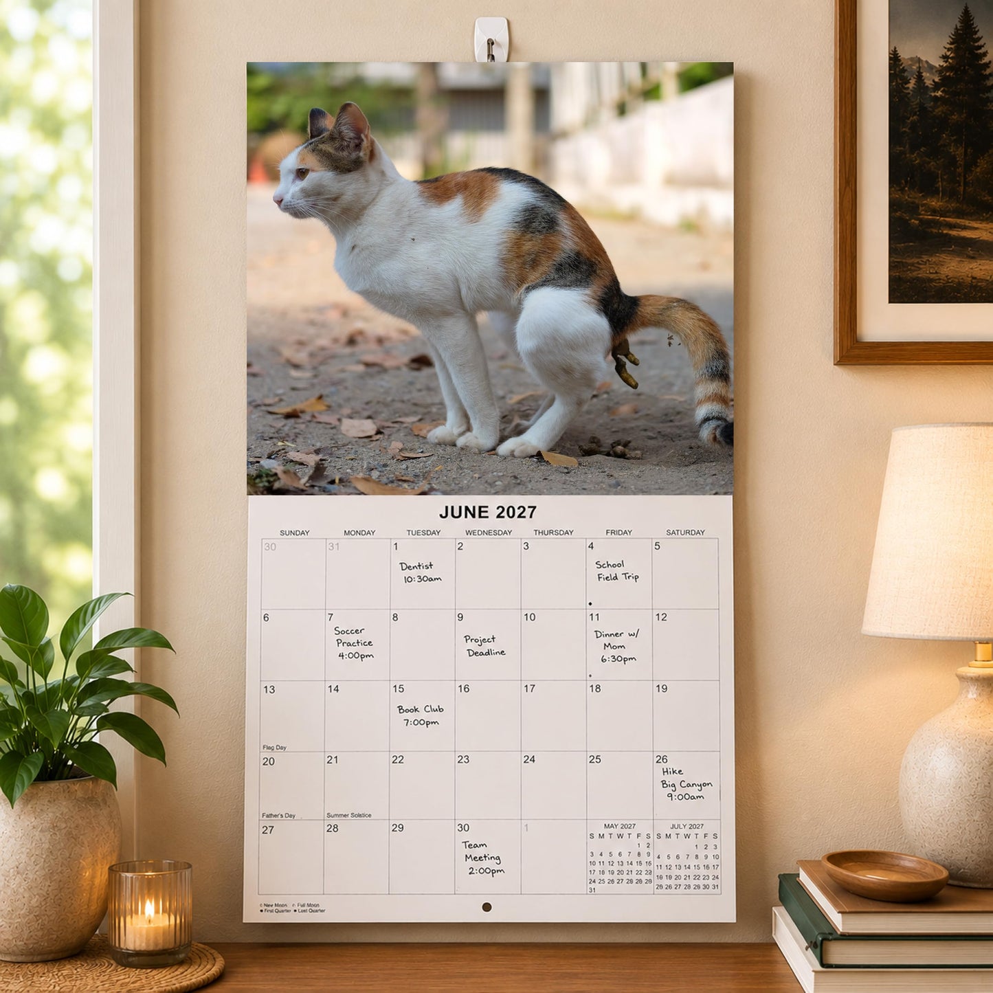 2027 Fecal Felines Monthly Wall Calendar - Pooping Cats Calendar | 2027 Prank Gift White Elephant or Gag Gift Calendar 2026-2027