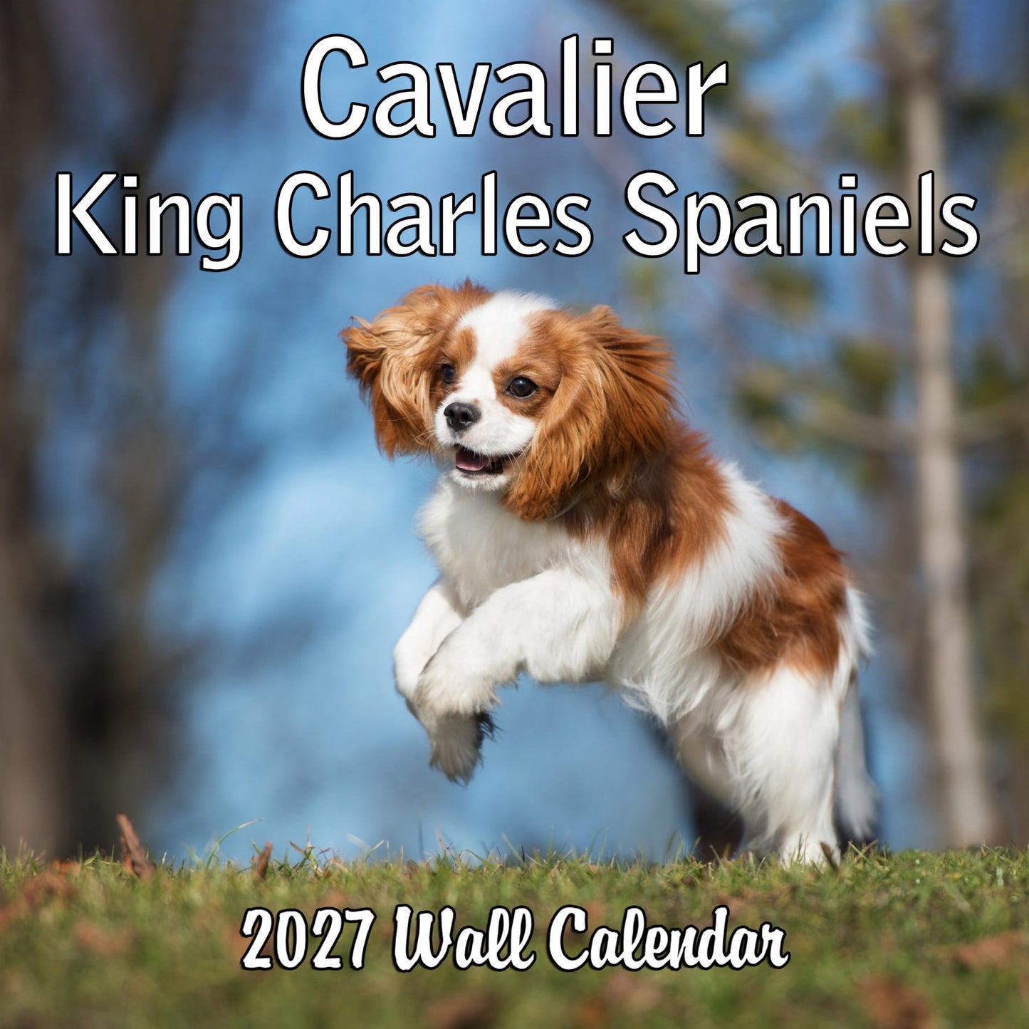 2027 Cavalier King Charles Spaniel Monthly Wall Calendar | Dog Calendar September 2026 - December 2027