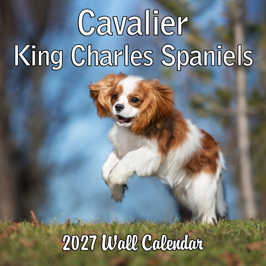 2027 Cavalier King Charles Spaniel Monthly Wall Calendar