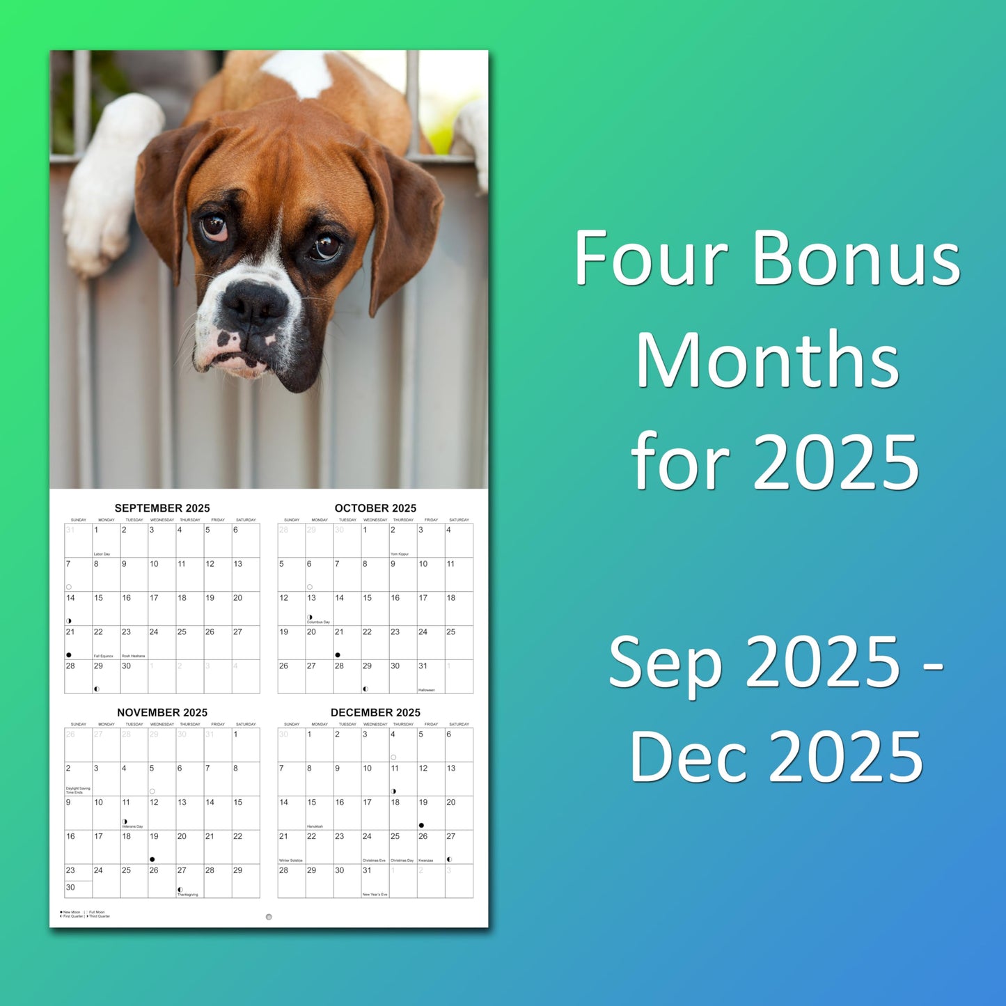 2026 Boxers Monthly Wall Calendar | 12" x 24" | Dogs Calendar September 2025- December 2026