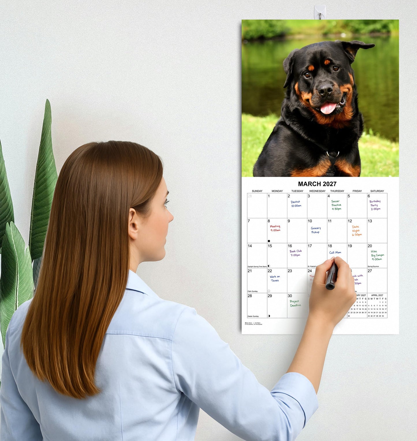 2027 Rottweilers Monthly Wall Calendar | Dogs Calendar September 2026 - December 2027