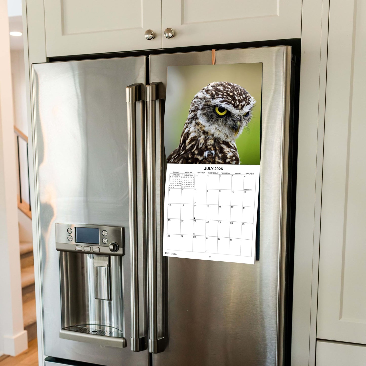 2026 Owls Monthly Wall Calendar | 12" x 24" | Animals Calendar 2025-2026