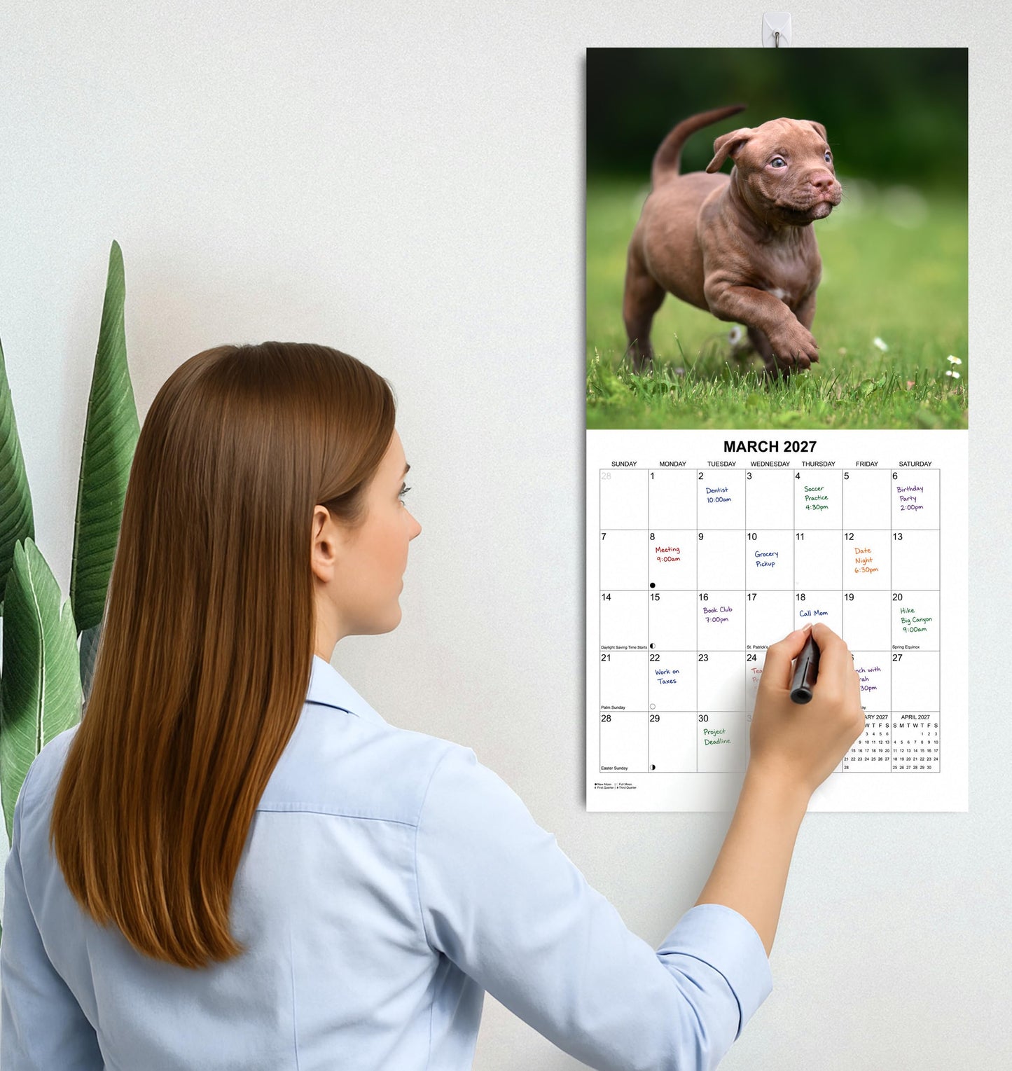 2027 Pit Bulls Monthly Wall Calendar | Pitbull Dog Calendar September 2026 - December 2027