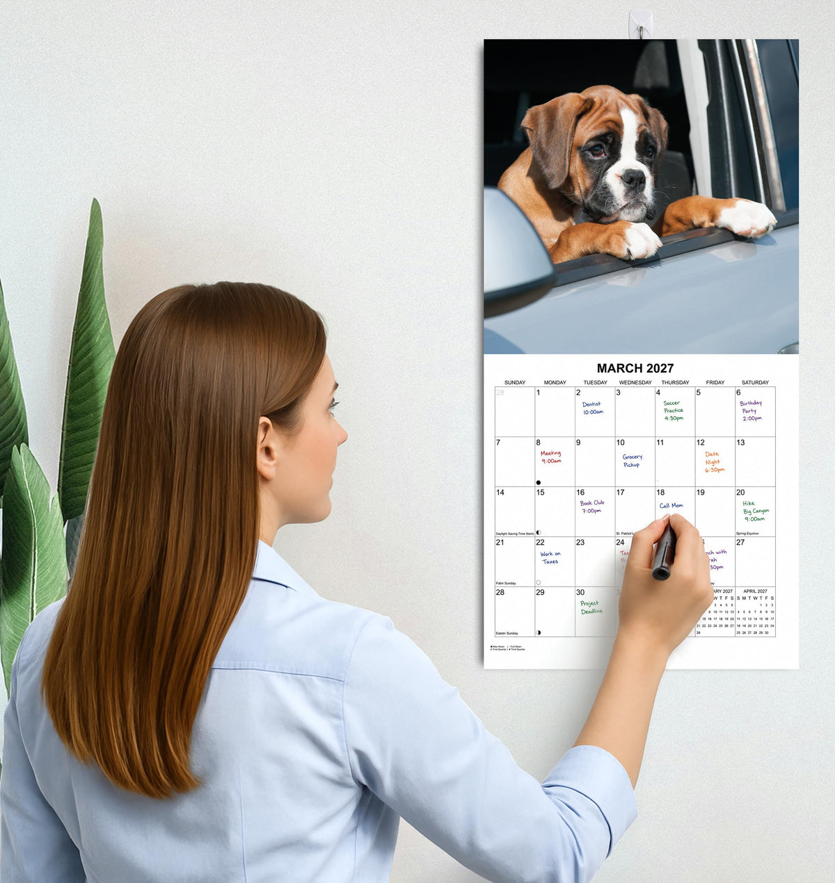 2027 Boxers Monthly Wall Calendar | Boxer Dog Breed 2026 Wall Calendar 2026-2027