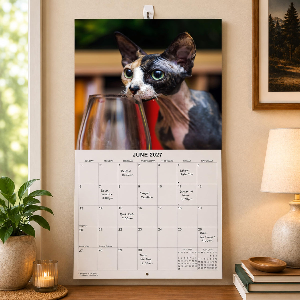 2027 Hairless Cats Monthly Wall Calendar | Cute Sphynx Cats Calendar 2026-2027