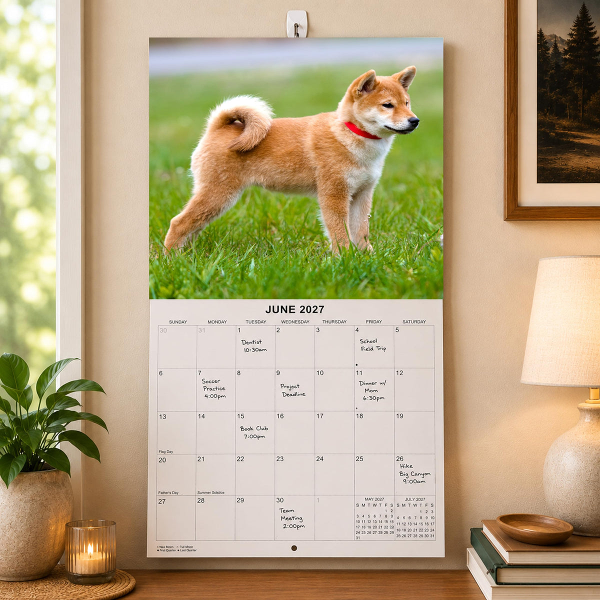2027 Shiba Inus Monthly Wall Calendar | Cute Dogs 2027 Wall Calendar 2026-2027