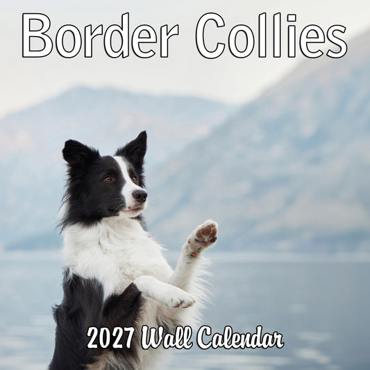 2027 Border Collies Monthly Wall Calendar | Dog Calendar September 2026 - December 2027