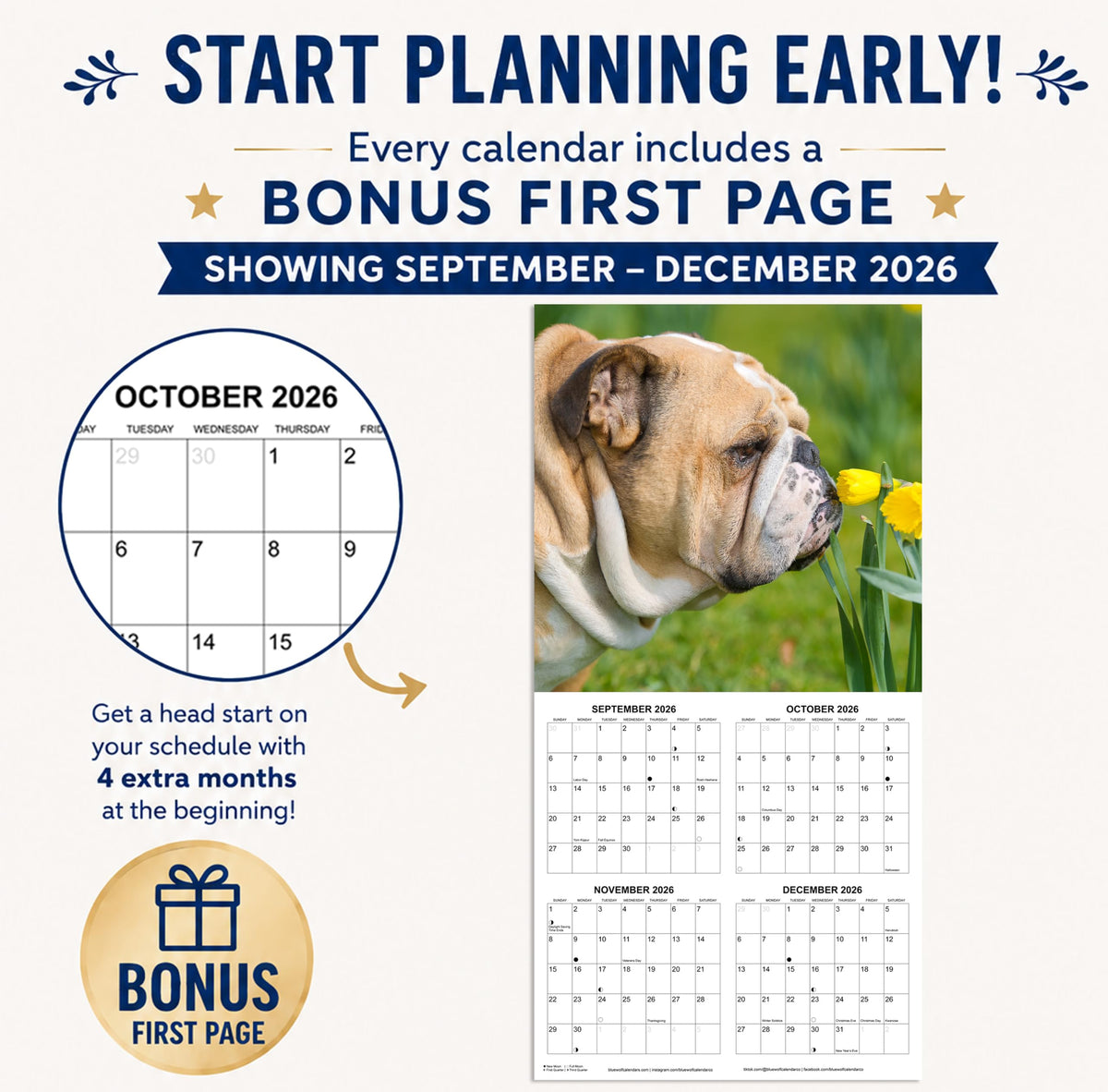 2027 English Bulldogs Monthly Wall Calendar | Cute Dogs Calendar September 2026 - December 2027