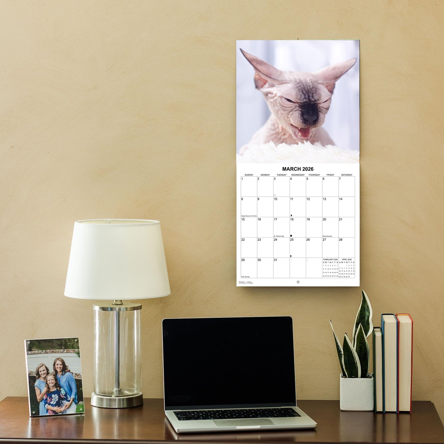 2026 Hairless Cats Monthly Wall Calendar | 12" x 24" | Thick Sturdy Paper | Sphynx Cats Calendar 2025-2026