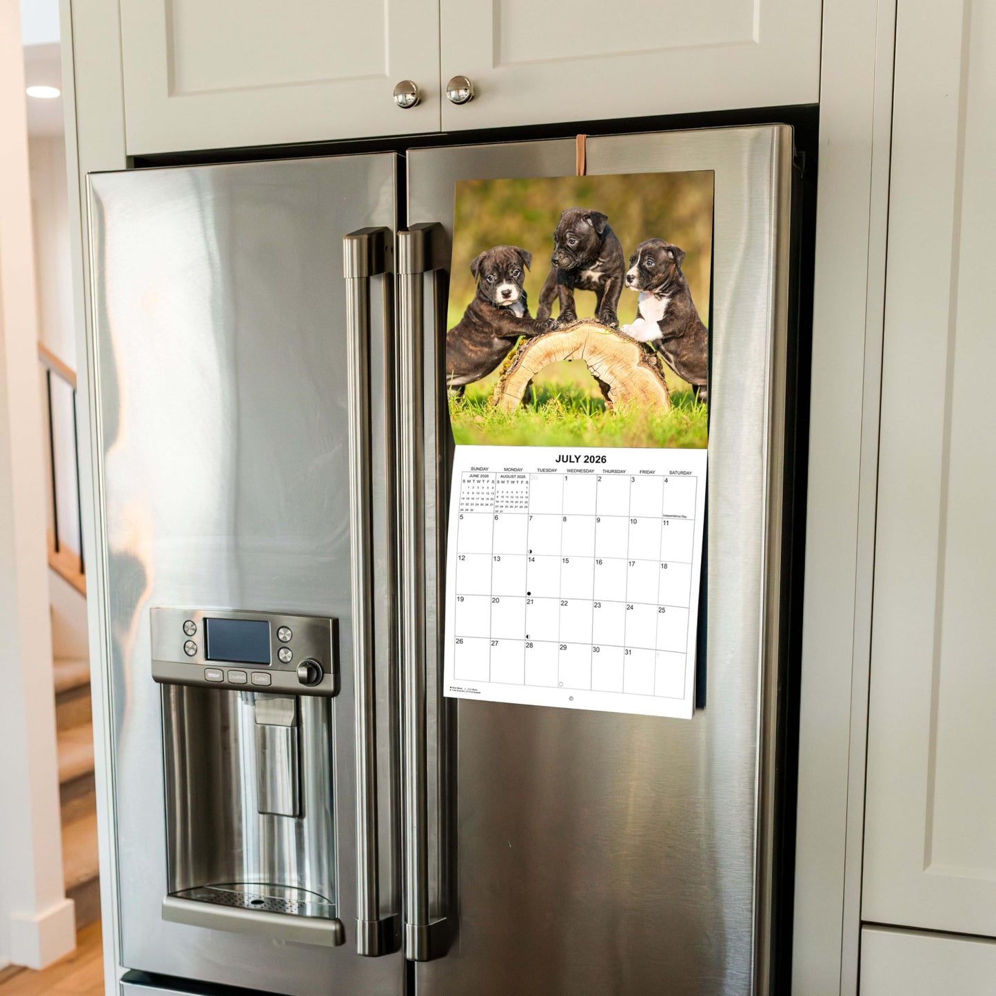 2026 Pit Bulls Monthly Hangable Wall Calendar | 12" x 24" | September 2025 - December 2026 Dog Calendar