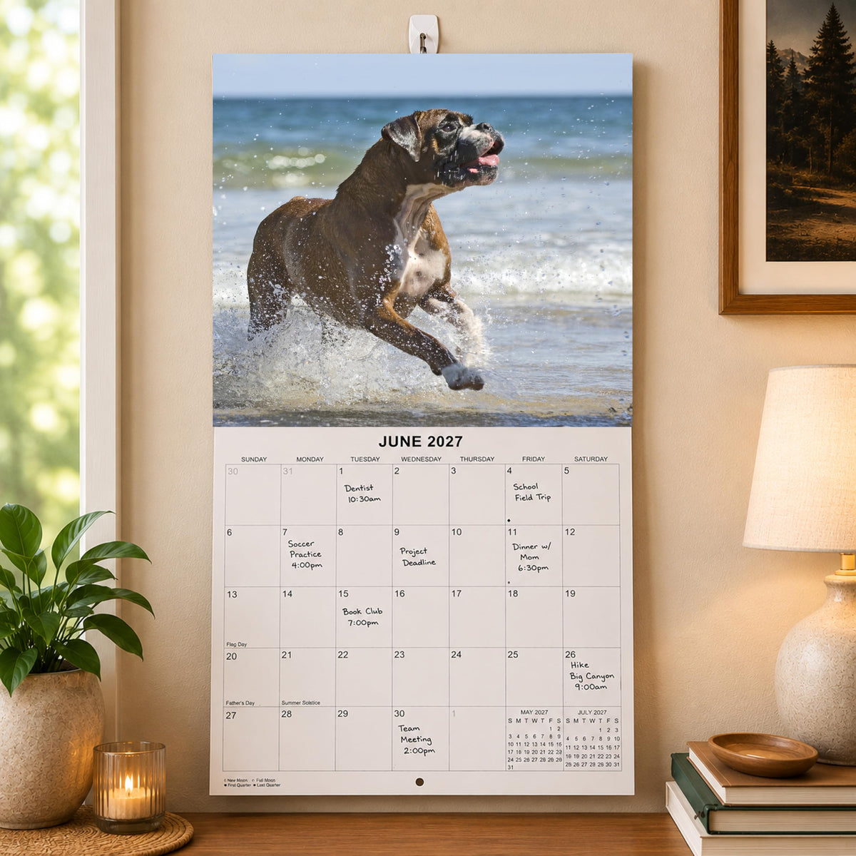 2027 Boxers Monthly Wall Calendar | Boxer Dog Breed 2026 Wall Calendar 2026-2027