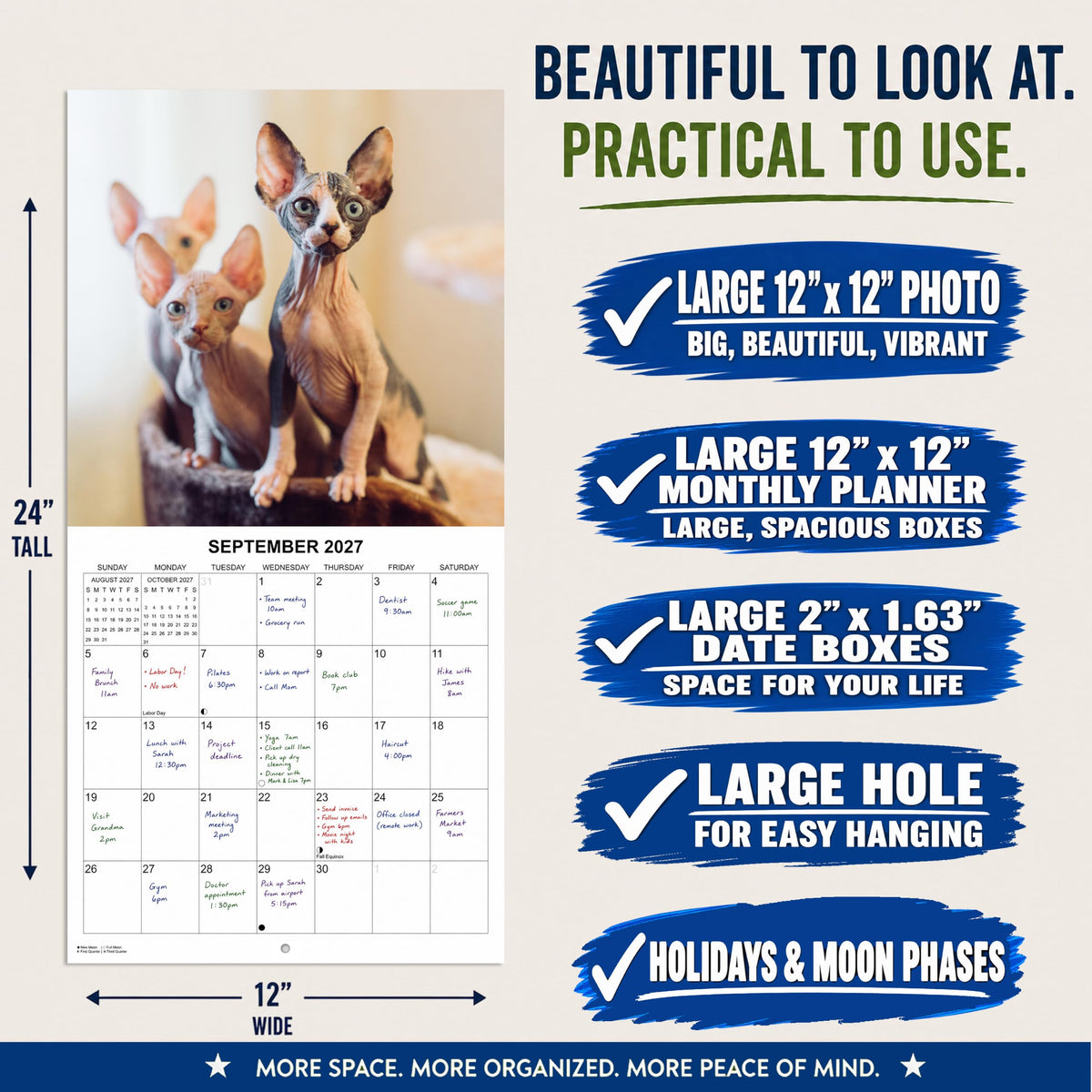 2027 Hairless Cats Monthly Wall Calendar | Cute Sphynx Cats Calendar 2026-2027
