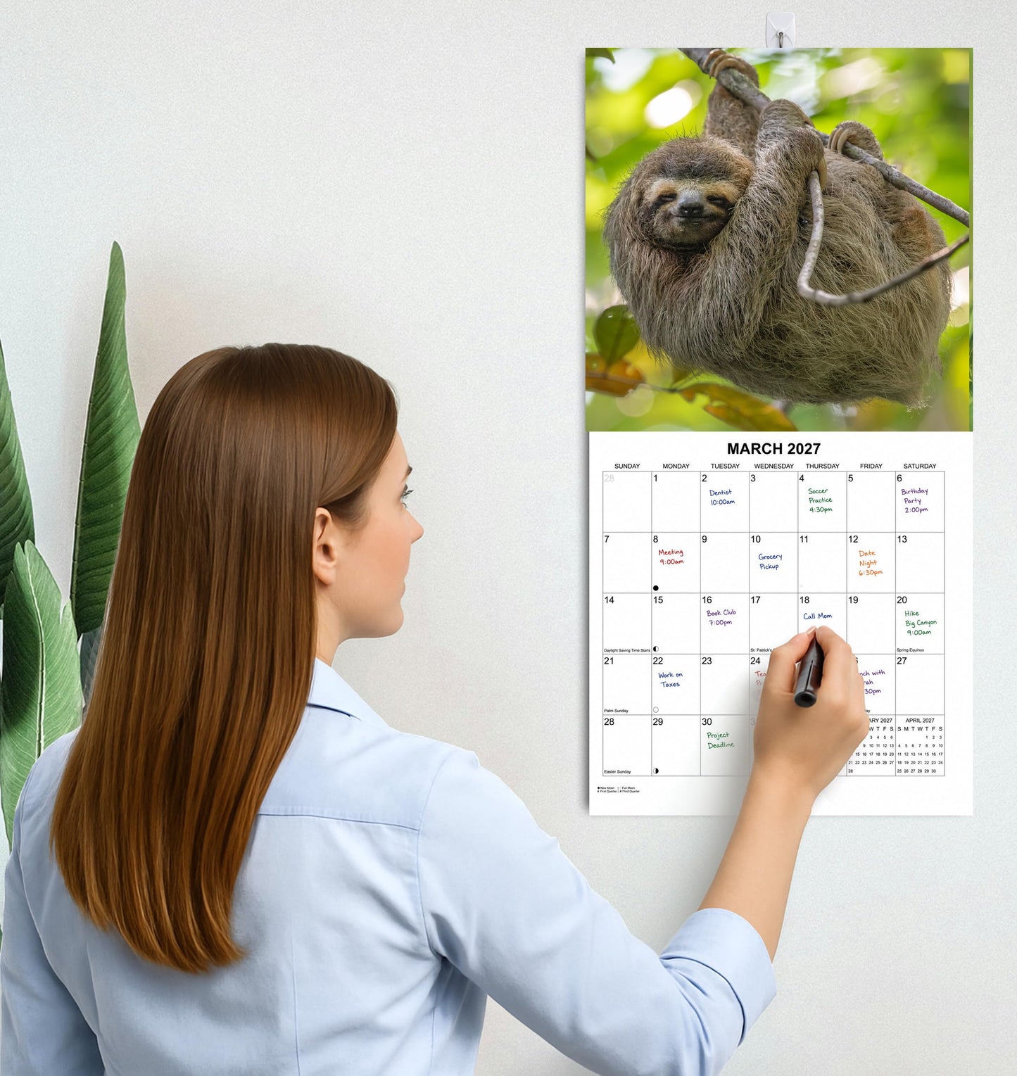 2027 Sloths Monthly Wall Calendar | Cute Animals Calendar 2026-2027