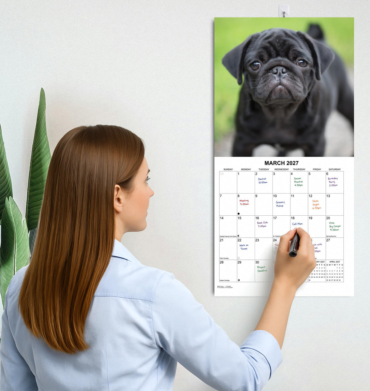 2027 Pugs Monthly Wall Calendar | Cute Dogs Calendar September 2026 - December 2027