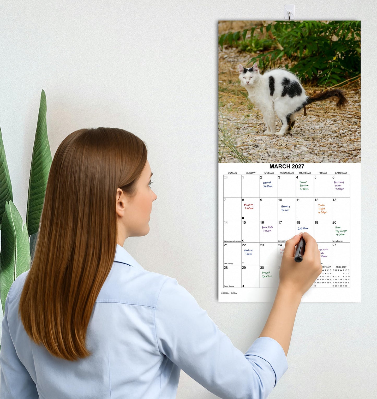 2027 Fecal Felines Monthly Wall Calendar - Pooping Cats Calendar | 2027 Prank Gift White Elephant or Gag Gift Calendar 2026-2027