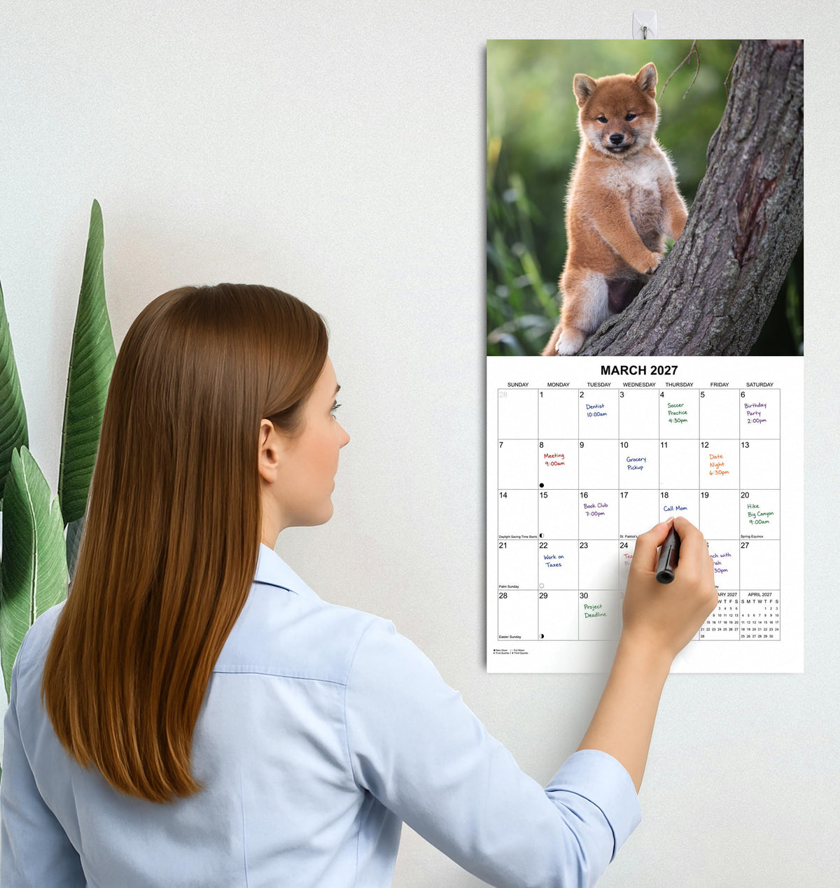 2027 Shiba Inus Monthly Wall Calendar | Cute Dogs 2027 Wall Calendar 2026-2027
