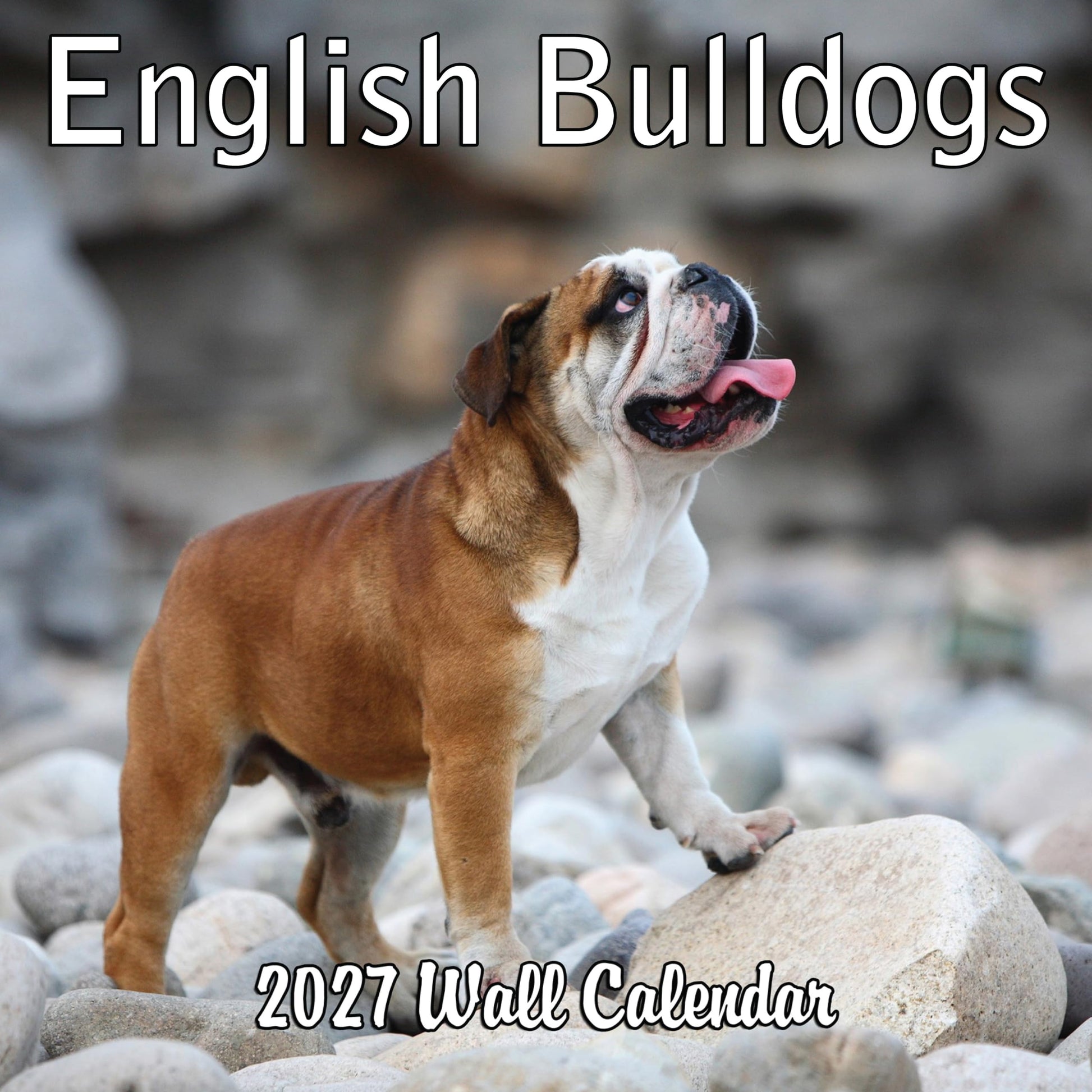 2027 English Bulldogs Monthly Wall Calendar | Cute Dogs Calendar September 2026 - December 2027