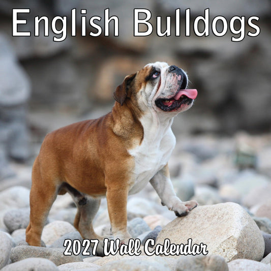2027 English Bulldogs Monthly Wall Calendar | Cute Dogs Calendar September 2026 - December 2027