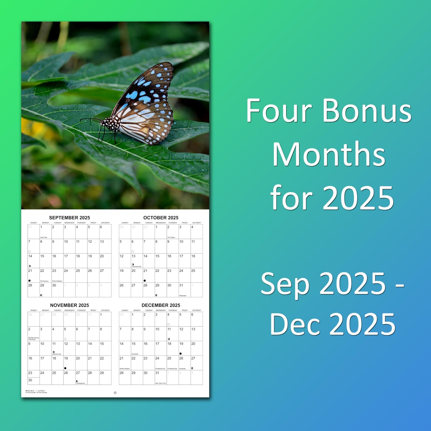 2026 Butterflies Monthly Wall Calendar | 12" x 24" | Animals Calendar 2025-2026