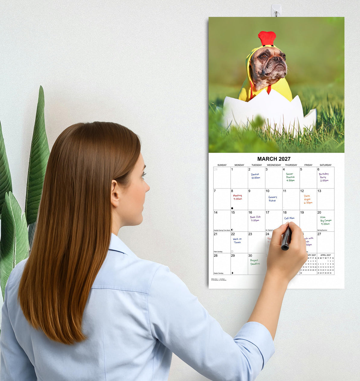2027 Silly Dogs Monthly Wall Calendar | Funny Dogs Calendar September 2026 - December 2027