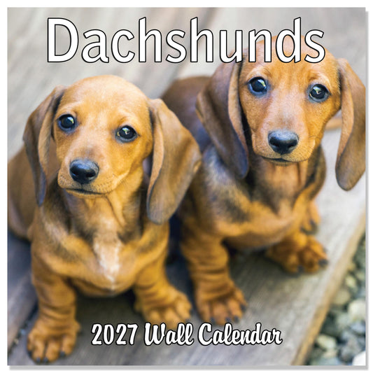 2027 Dachshunds Weiner Dog Monthly Wall Calendar | Wiener Dogs Calendar September 2026 - December 2027