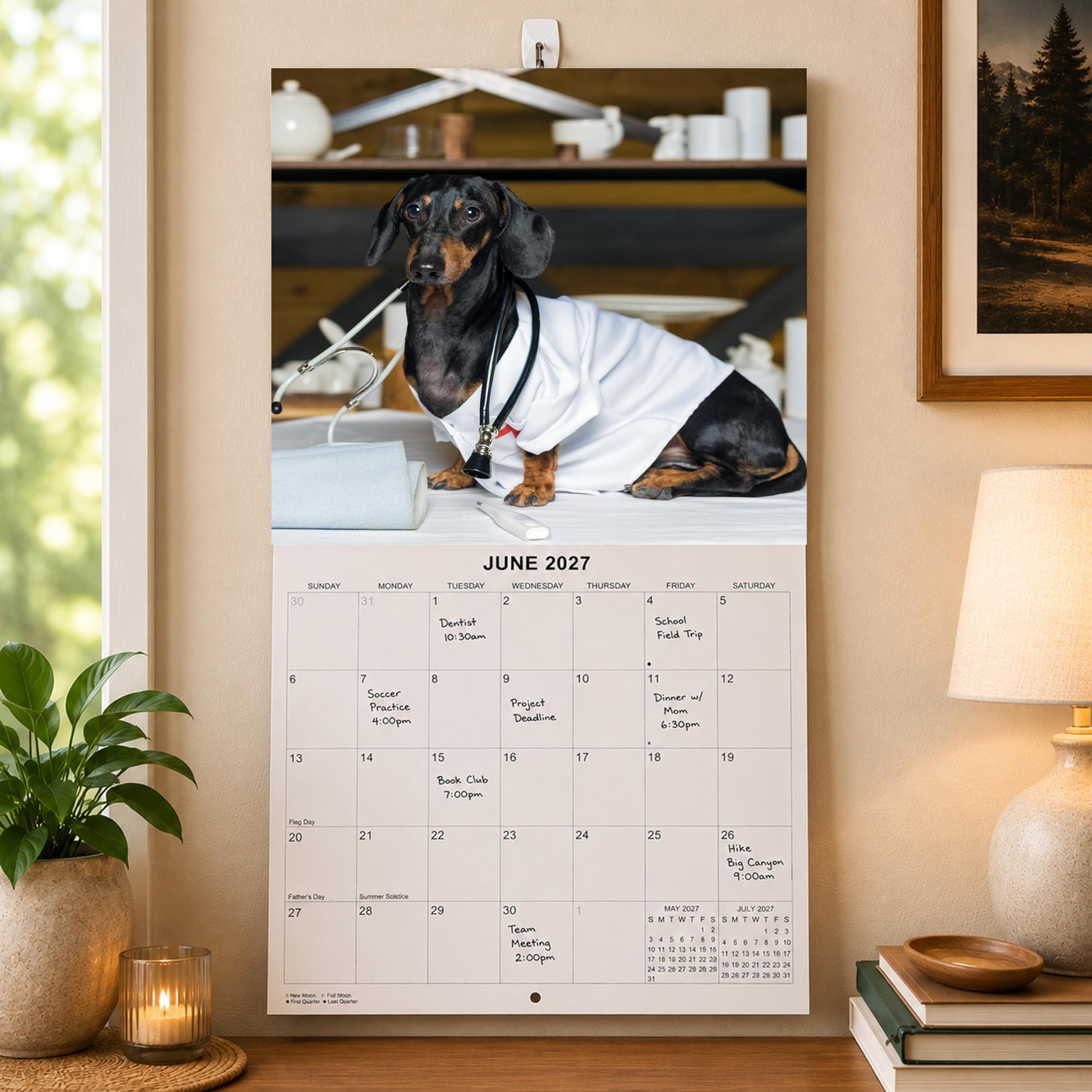 2027 Dachshunds at Work Weiner Dog Monthly Wall Calendar | Funny Wiener Dog Calendar September 2026 - December 2027
